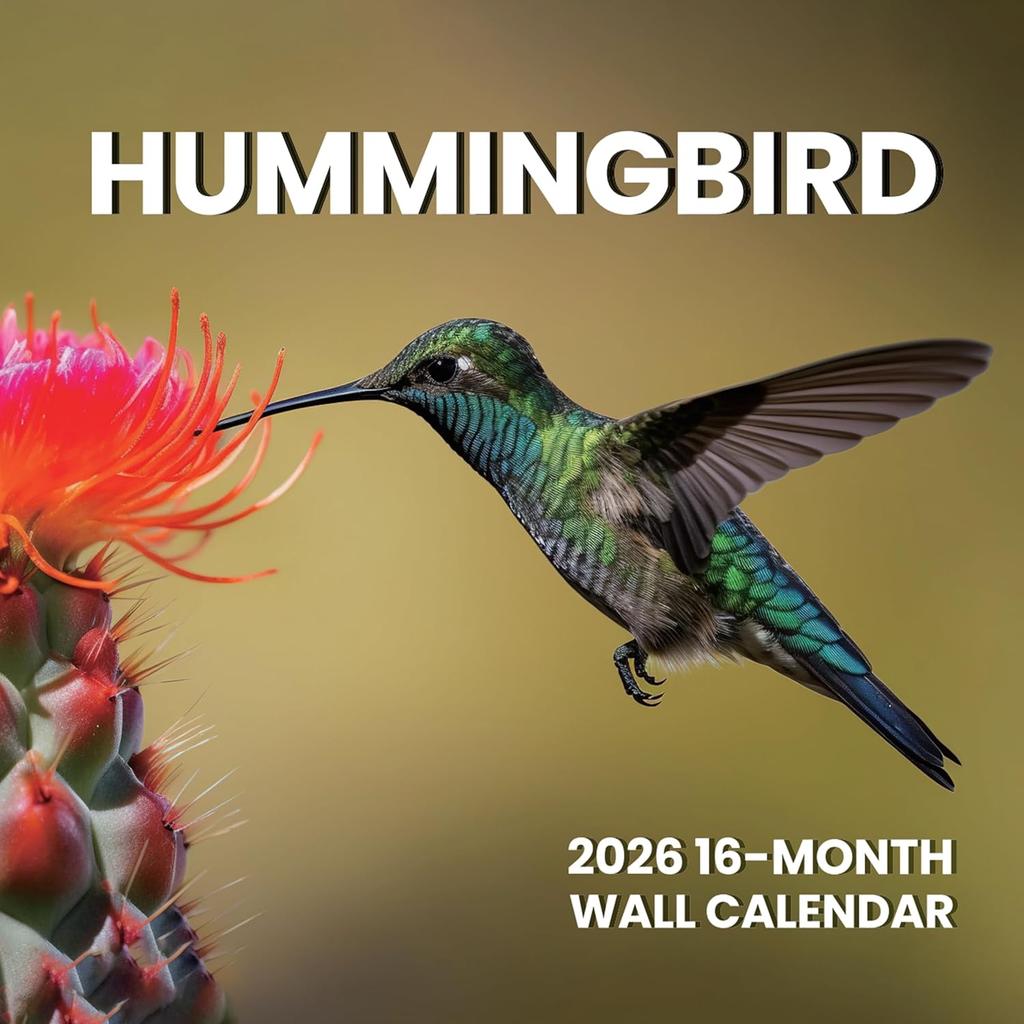 SUNEE 2026 Calendar for Wall, 2026 Large Wall calendar 12x12 Inches with 16 Months from September 2025 to December 2026, Thick Glossy Paper, 12" x
