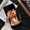 Yorkshire Terrier Dog For Honor Magic 5 6 7 8 Pro Case For Honor 200 400 70 90 Lite X8c X8b X9a X9b X9c X9d Win RT