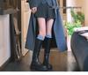 Miu-Style Dark Gray Wool Pleated Women's A-Line Skirt - 2025 New Thickened JK Style for Autumn/Winter