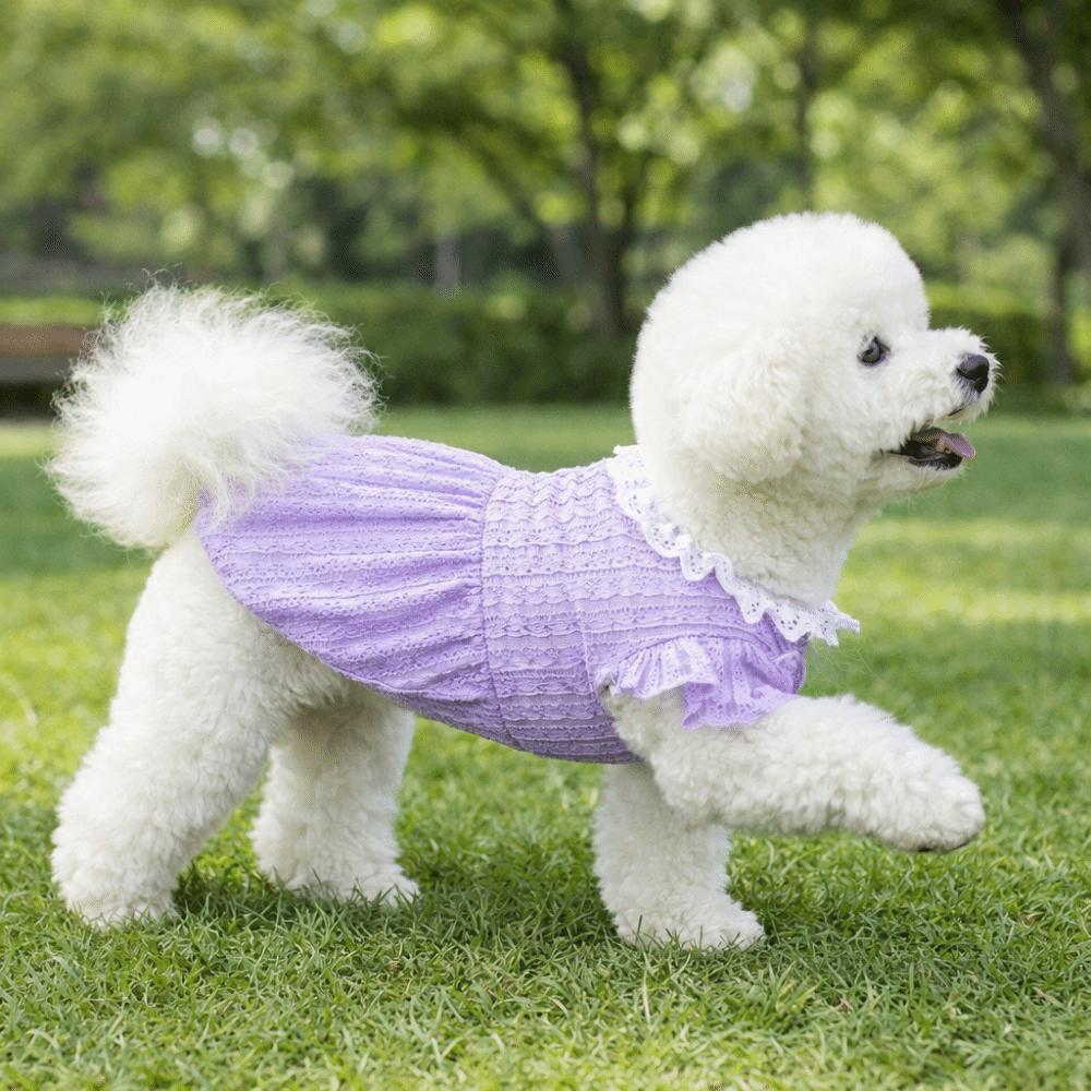 Comfortable Puppy Princess Dress Thin Breathable Pet Puff Skirt Fashion Pet Clothing  Daily Wear