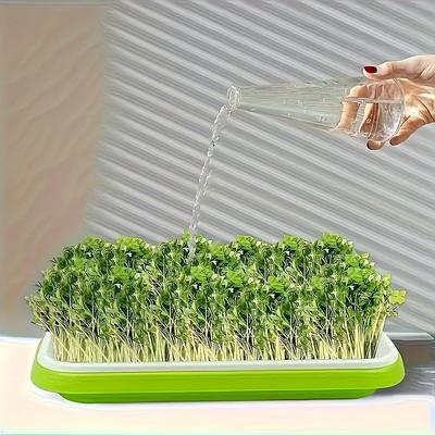 4pcs/set Multi-Function Seedling Tray Hydroponic Vegetable Bean Sprout Plant Growing Tray Home Indoor Planting Container