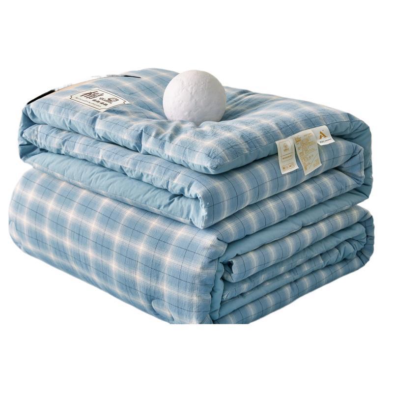 2025 All-Season Quilts: Thick Washed Cotton for Winter, Xinjiang Cotton for Summer, and Versatile Spring/Autumn Comfort