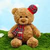 With Bear Teddy Scarf Cake Pajamas Rose Rabbit Plush Toy Kids Decoration Gift