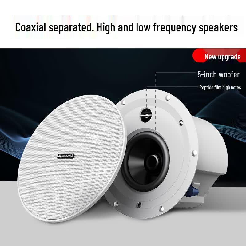 Newmine K-908B Wireless Bluetooth In-Ceiling Speaker System (CN version)