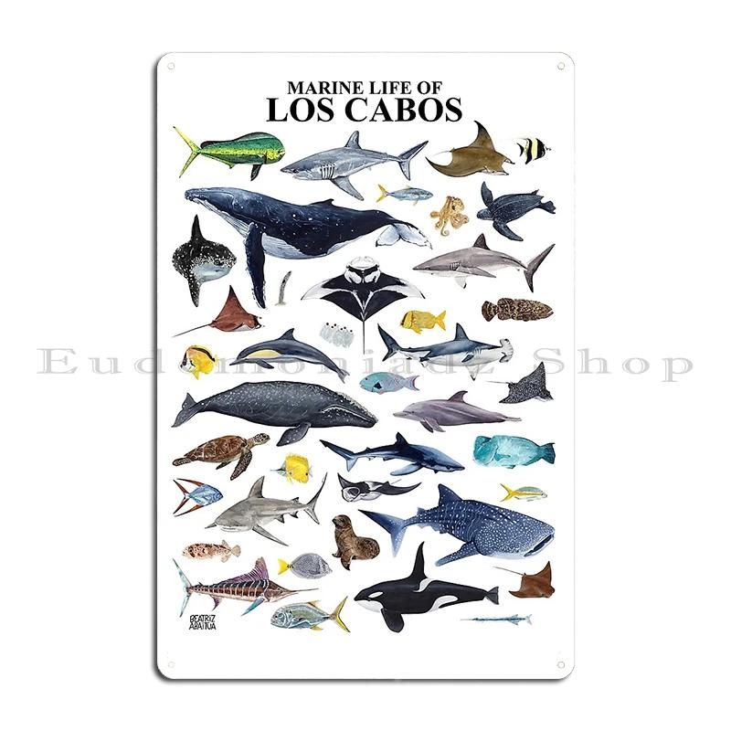 SEASHELLS SEA CREATURES SHARKS Poster with Names Metal Sign Cinema Decoration Pub Plaques Tin Sign Poster