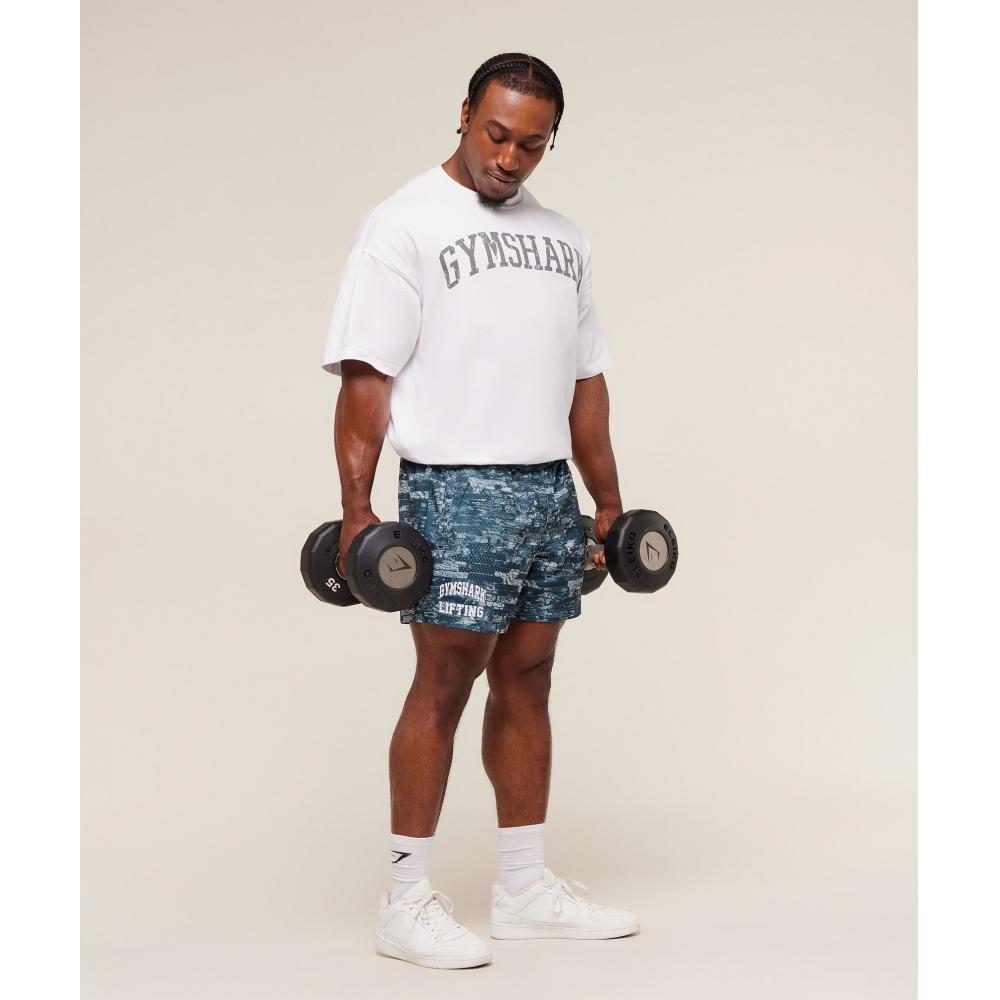 Gymshark Lifting Mesh 5  Shorts Smoke Blue A4b7v Udxn