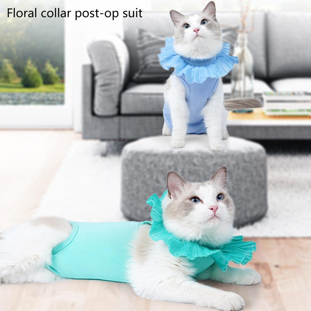 Bequemer Genesungs-Bodysuit für Katzen zum Schutz von Wunden. Auslaufsicherer Genesungsanzug für kastrierte Katzen nach Operationen