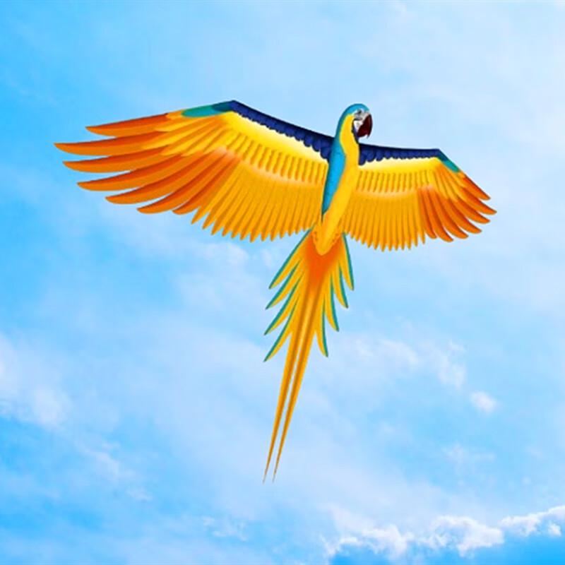 WEZHO 3D Colorful Parrot Kite