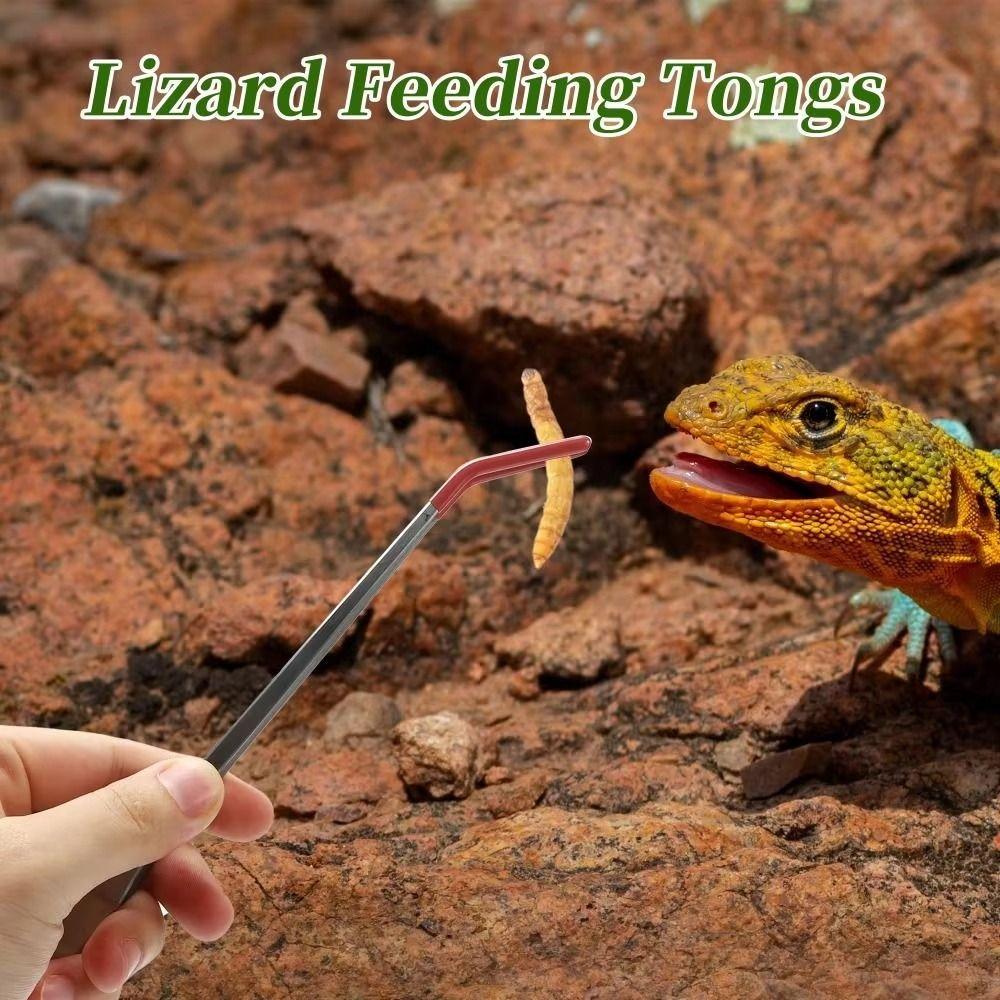2Pcs Stainless Steel Lizard Feeding Tweezers Non-slip Reptile Feeding Tongs Gecko Snake Accessories