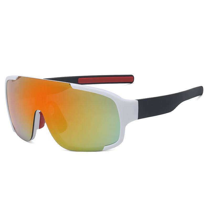 Lishi Multi-Sport Goggles