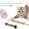 Natural Catnip Cat Molar Toothpaste Stick Cat Cleaning Teeth Cat Pet Sticks Cat Snack Cleaning Teeth Stick Pet Chew Catnip Toy