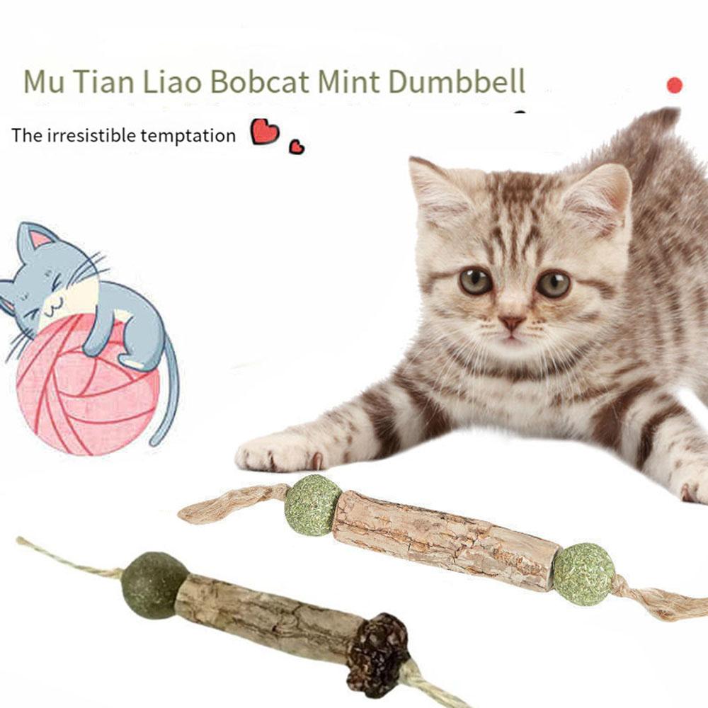 Natural Catnip Cat Molar Toothpaste Stick Cat Cleaning Teeth Cat Pet Sticks Cat Snack Cleaning Teeth Stick Pet Chew Catnip Toy
