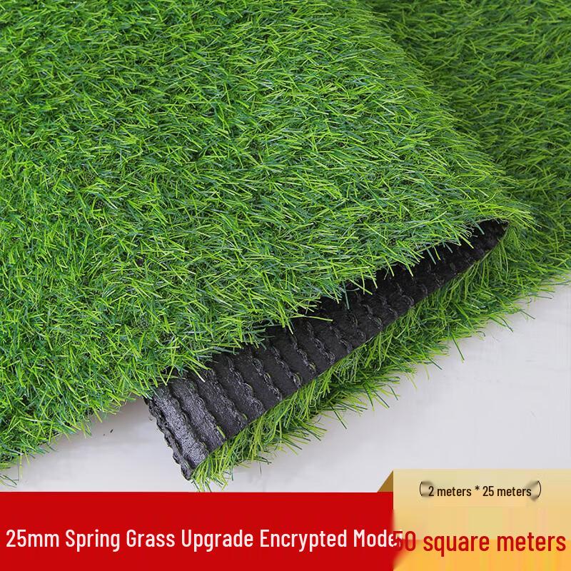 Gazon Sintetic pentru Decorare Exterioară și Grădină