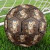 Fotbal – Mingi de fotbal