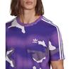 Adidas Originals Kurzarm-T-Shirt Graphics Camo Allover-Print