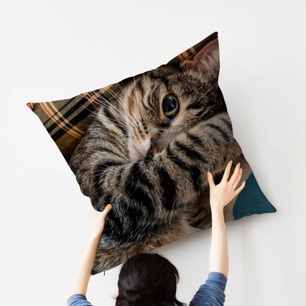 Cat Cute Kitten Stitch Lucky Dragon pillow cover sofa cushion cover home room decoration children gift