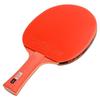 DHS Red Carbon King 3-stjärnig pennhållning bordtennisracket