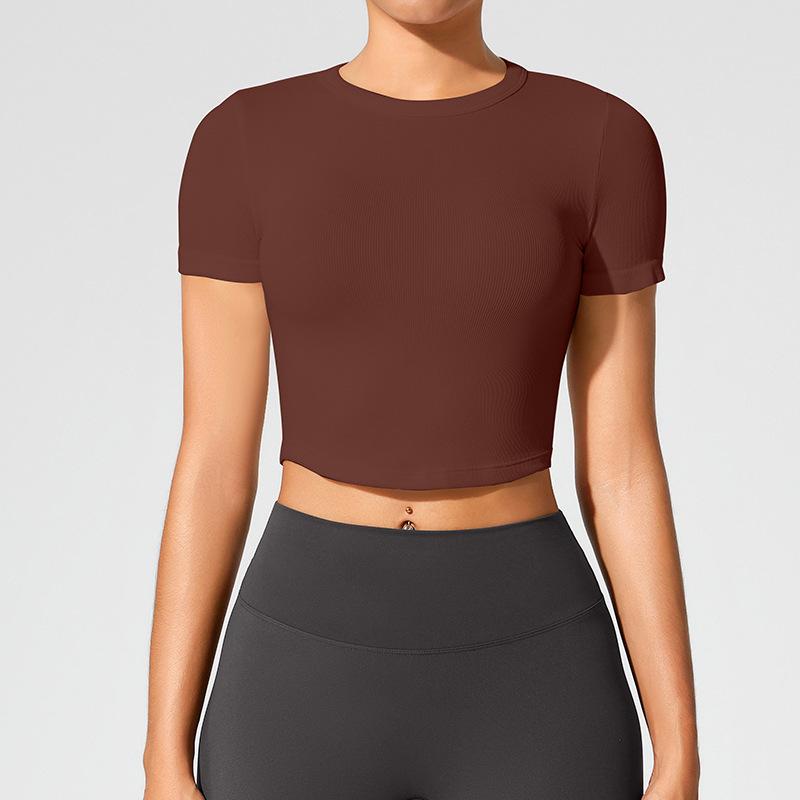 Women's Seamless Sports Top: Breathable, Short Sleeve Yoga and Running T-Shirt for Summer Fitness