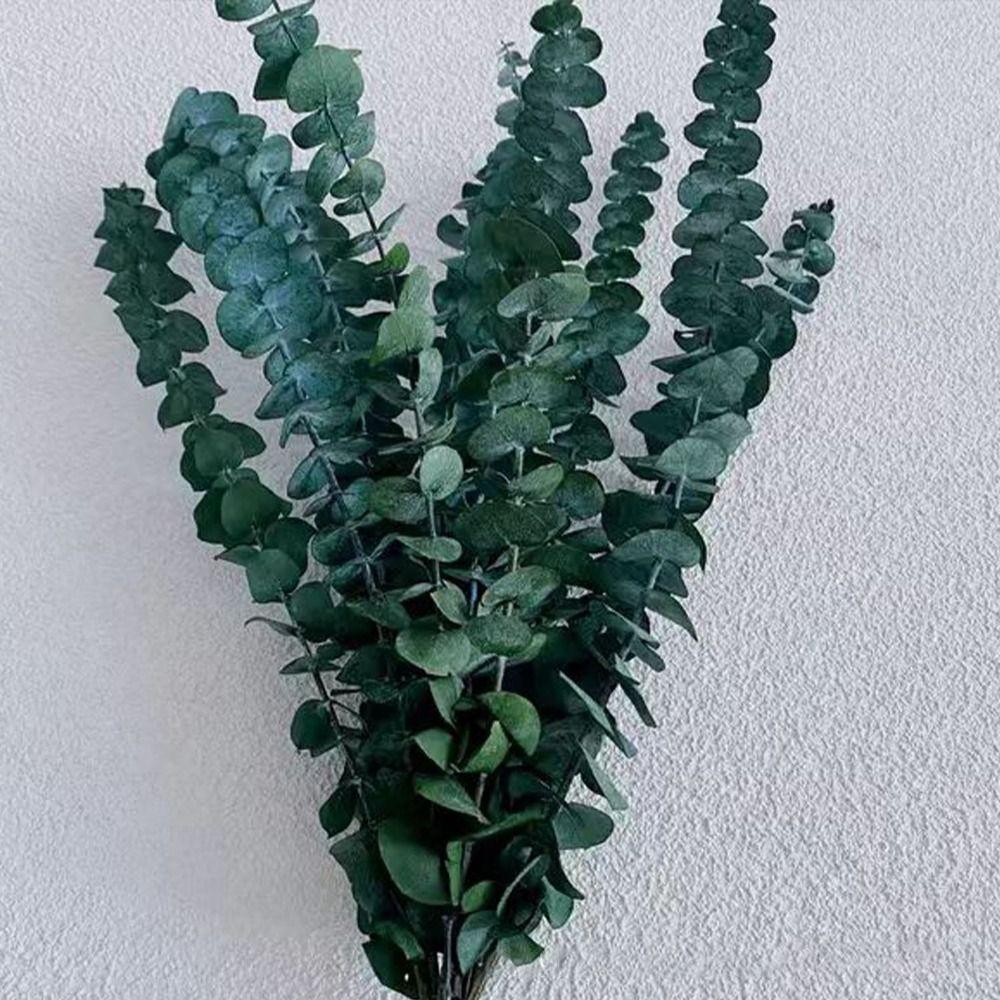 10 Pcs Large Artificial Plants Flowers 22 inch Preserved Eucalyptus Stems  Bathroom