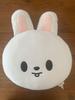 [USED] Stray Kids Reno Leavitt Cushion