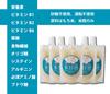 Kojiya Honten Ice Amazake 100ml x 10 Salt Sports Ice Slurry [Frozen] (Sugar, Alcohol, Free)