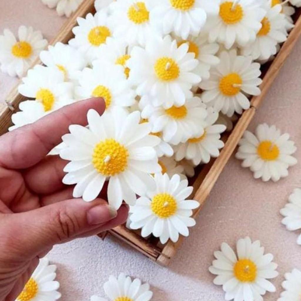 25-Pcs Decorative Gift Vanilla Scented Daisy Floating Candle Set for Promise, Engagement, Wedding, Gift