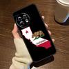 California Flag Case For OnePlus 15R 13R 12R 10R 8T 10T 13T 15 13 12 11 9 10 Pro Nord CE 5 4 3 2 Lite N20 N30