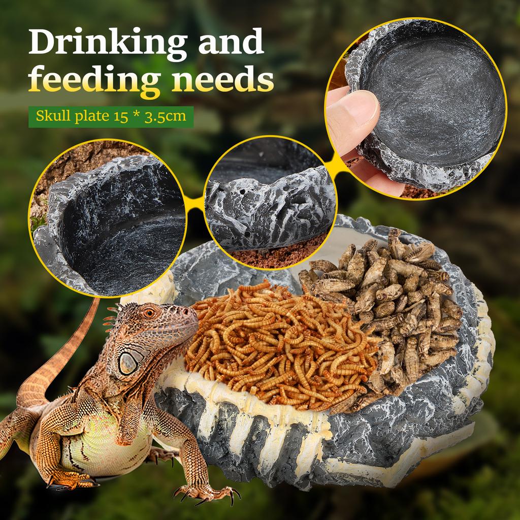 3Pcs Reptile Water Dishes and Food Feeding Bowls Synthetic Resin Anti Rollover Design Stable Base for Various Pet Boxes