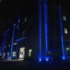 Utomhus LED Väggspotlight 5W 9W 12W Hem Landskapsbelysning 110V 220V Röd Grön Blå RGB Fjärrkontrollerade Lampor Vattentät Enkel Stråle