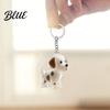 High-quality Pet Memorial Keychain Dog Hair Storage Bottle Transparent Waterproof