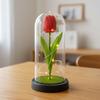 Simulation Tulip Immortal Flower Mother's Day Teachers' Day Gift Glass Cover with Light Valentine's Day Birthday Gift
