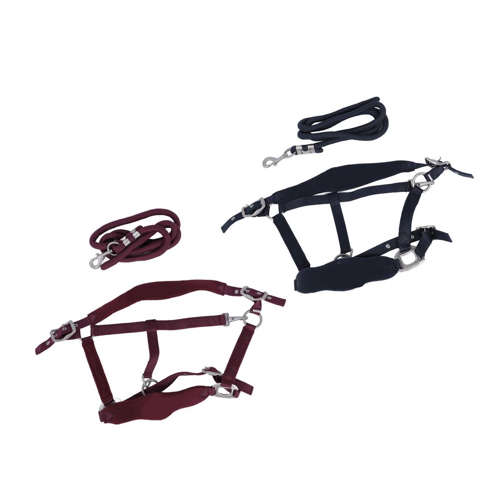 Horse Halter Set Prevent Rubbing Adjustable Horse Training Halter with 2m Horse Leash for Training D