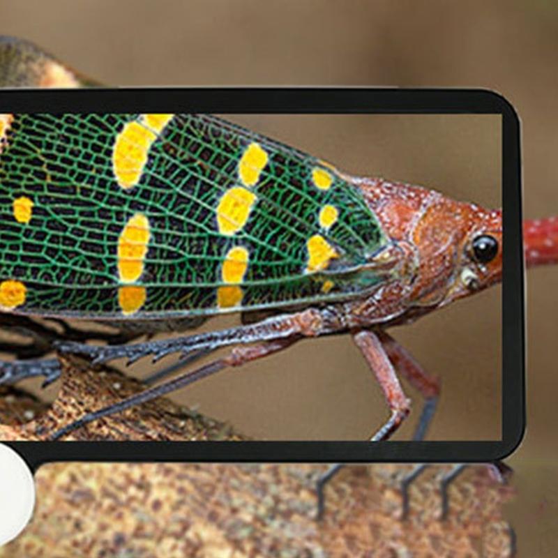 3X Magnification Magnifying Glass 72 LED Light 3 Lighting Modes Rechargeable Magnifier USB Rechargeable Large Lens