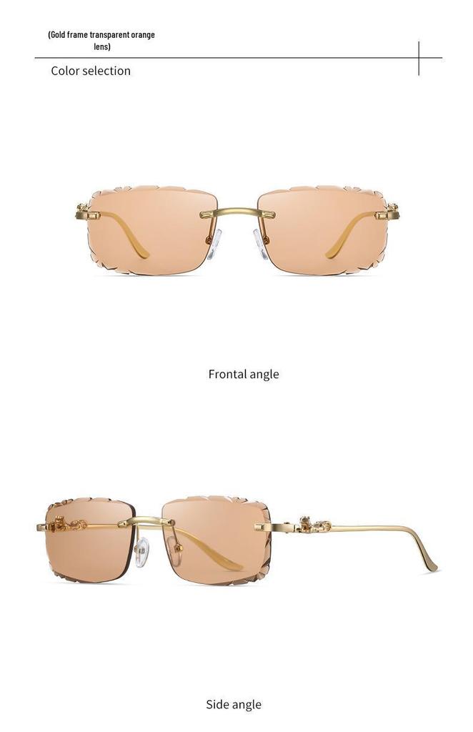 Leopard Head Rimless Sunglasses: Women's & Men's Small Square Frame