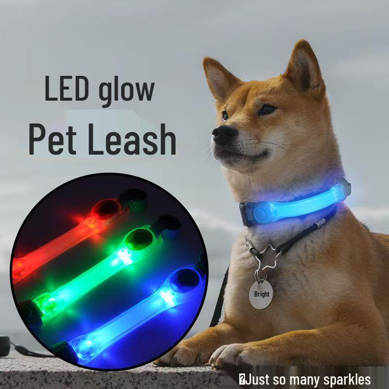 USB Rechargeable LED Pet Leash with Night Light and Anti-Lost Pendant