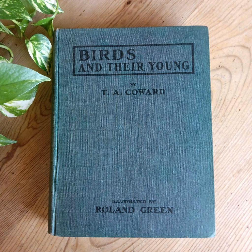 [USED] Western book, old book, first edition 1923, rare, beautiful bird encyclopedia, antique, historic encyclopedia, art book