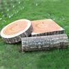 Tree Stump Stump Stuffed Doll Stump Shaped Plush Toys Woods Grain Plush Toy Decorative Pillows