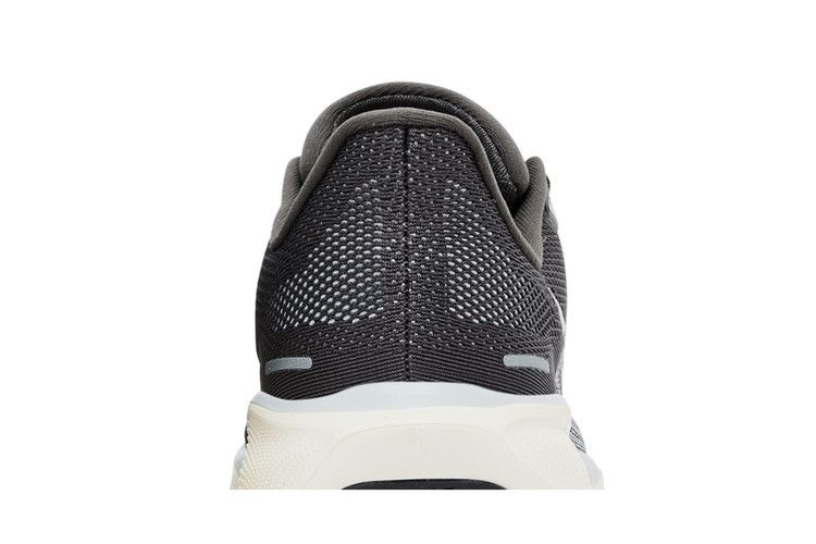 Nike Air Zoom Pegasus 41 Medium Ash Pure Platinum Men's Sneakers
