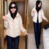 Fashion and Casual Short Cotton-padded Jacket Women's Winter New Thin Thickened Warm Cotton-padded Jacket Tide