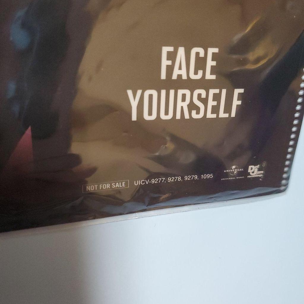 [USED] BTS Official FACEYOURSELF Universal Studios Japan Bonus Double-sided Clear File