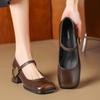 Augustine Mary Jane shoes women's 2025 new summer with skirt temperament retro thick heel square head light mouth single shoes