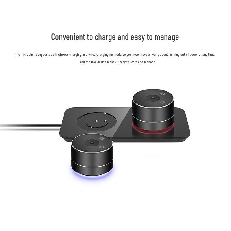 DAIPU 5.8G Wireless Distributed Video Conference Microphone System DP-GX15 (CN Version)