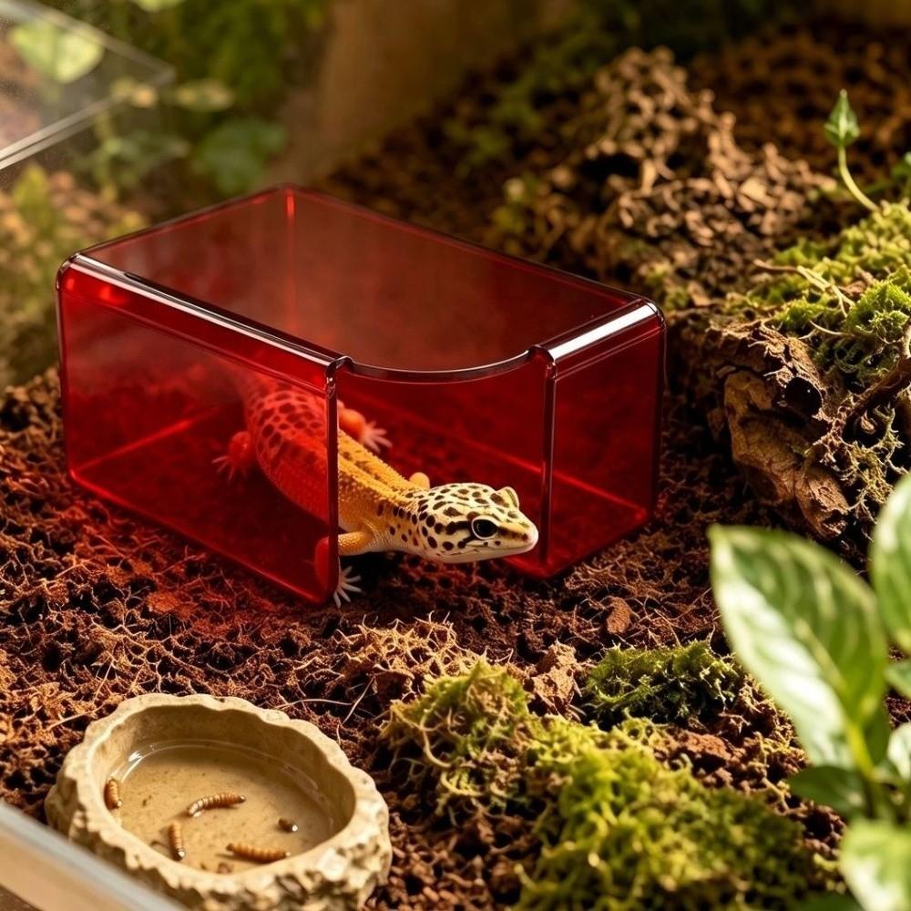 Stackable Reptile Hide Cave Translucent Visible Shelter House Reptile Hideout  Pet Breeding