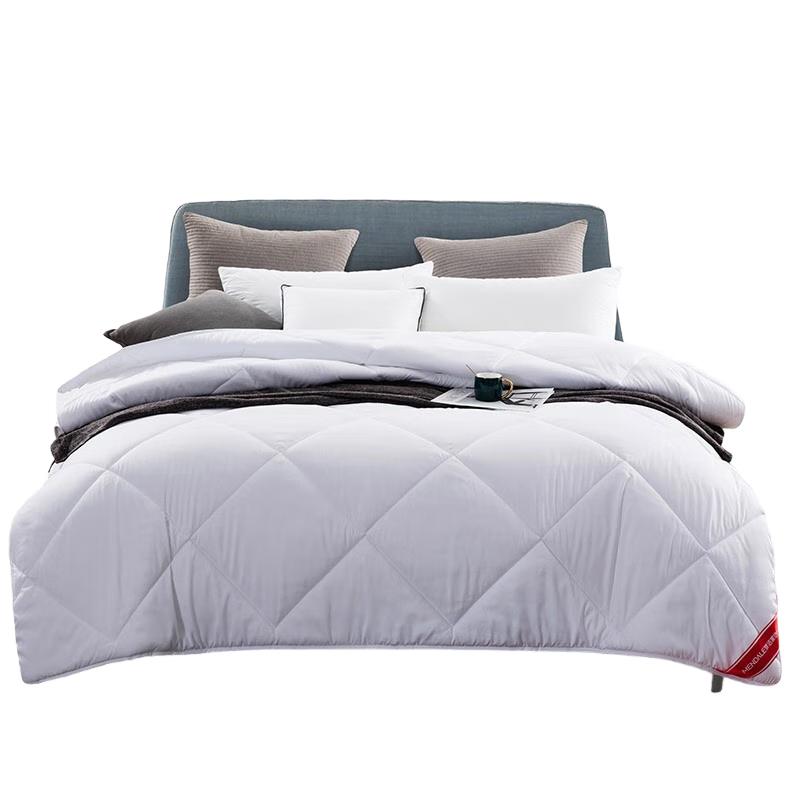 Mengjie All-Season Cloud Quilt