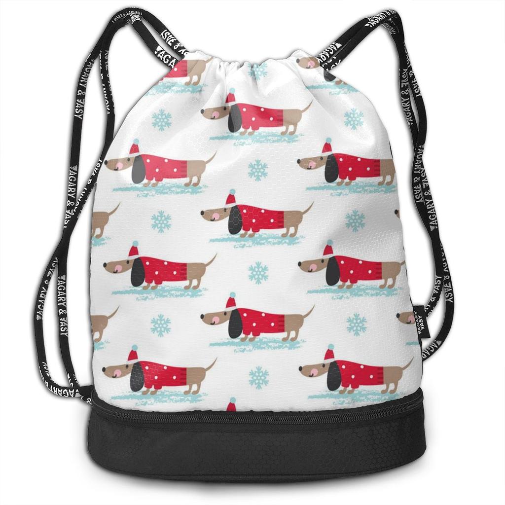 backpack for dachshund