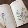 [USED] Plant encyclopedia, old German books, botanical art, junk journals