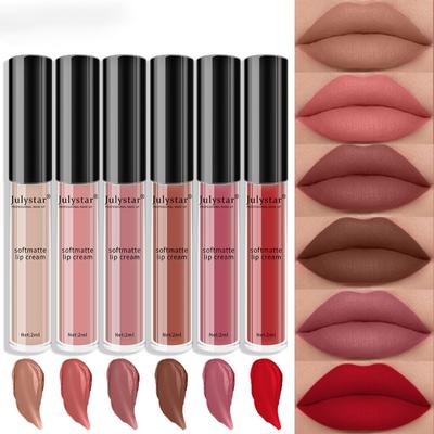 Long-lasting Non-sticky Matte Lipstick Lip Tint  Lip and Cheek Tint  Matte Lip Gloss with Non-fading and Non-stick Cup Effect
