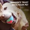 Durability Bouncy Ball Dog Toy Interactively Dog Toy Colorful Dog Safe Pet Toy for Pet Exercise and Funny