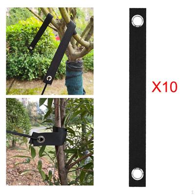 10 Pieces Tree Straps for Staking Straightening Ties Support Newly Planted