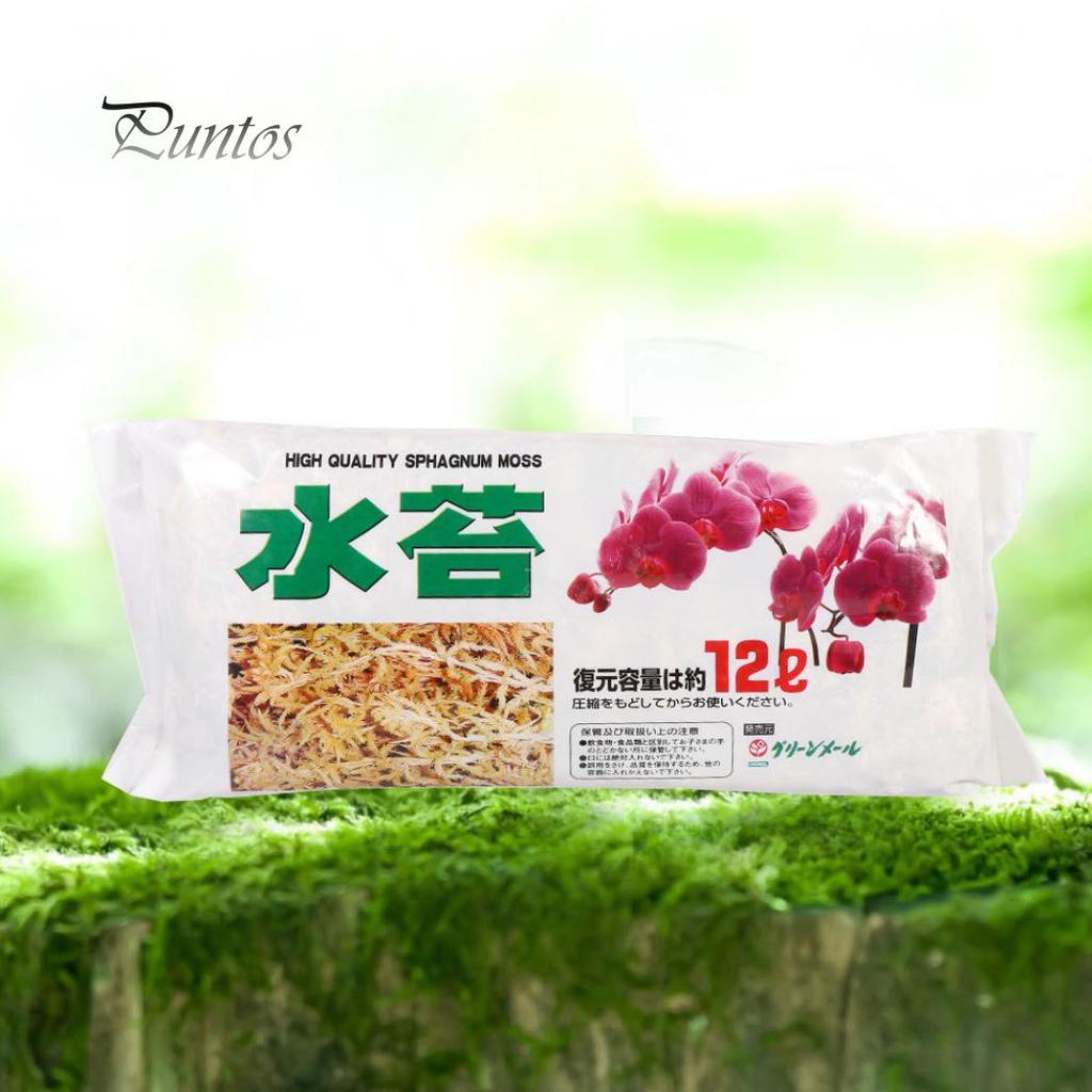 12L Garden Supply Sphagnum Moss Phalaenopsis Orchid Soilless Culture Fertilizer